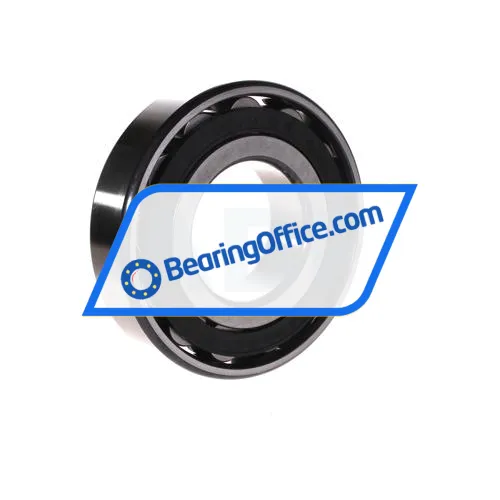 FAG N313-E-TVP2-C3 bearing image 3