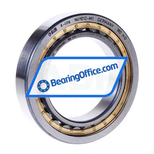 FAG NU1012-M1