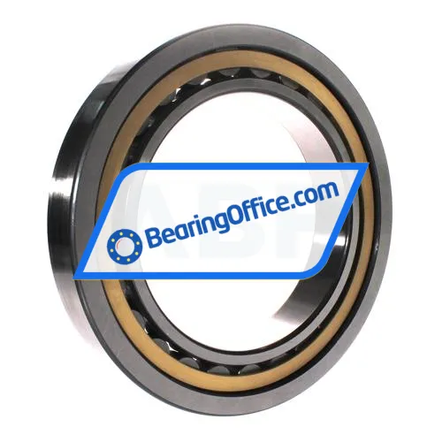 FAG NU1038-XL-M1 bearing image 3