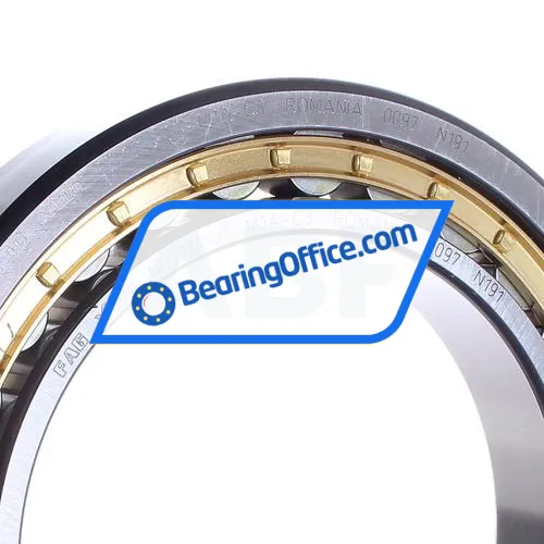 FAG NU1024-XL-M1A-C3 bearing image 2