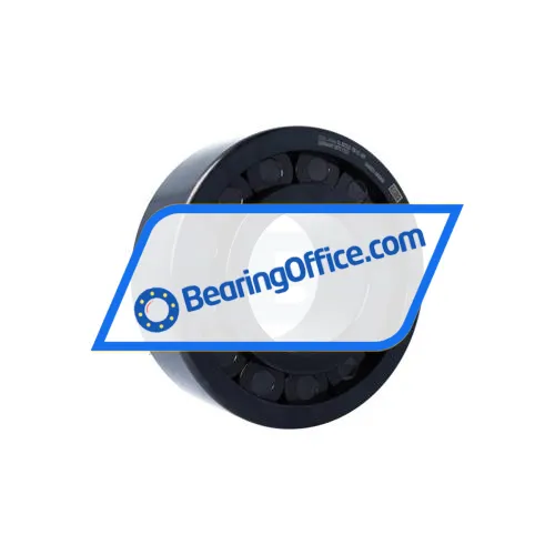 INA SL192322-TB-XL-BR