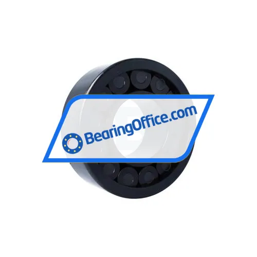 INA SL192322-TB-XL-BR bearing image 2