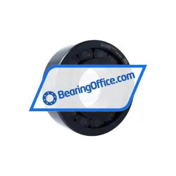 INA SL192322-TB-XL-BR