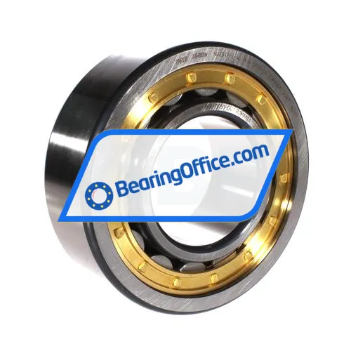 FAG NU2317-E-XL-M1A-QP51-C4