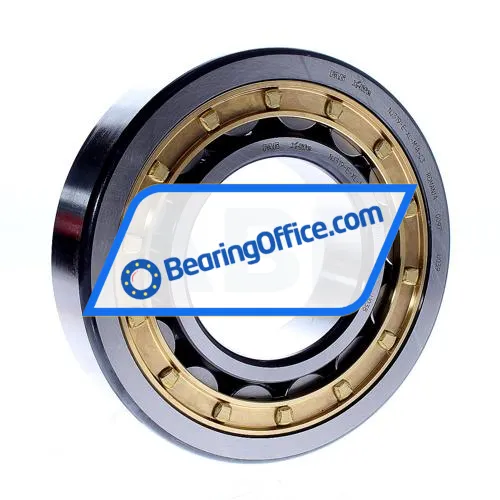 FAG NJ319-E-XL-M1A-C3