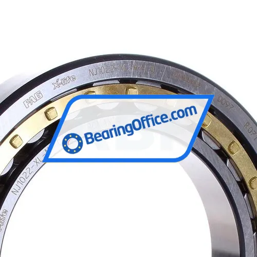 FAG NJ1022-XL-M1-C3 bearing image 2