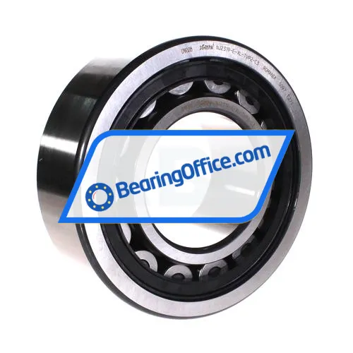 FAG NJ2319-E-XL-TVP2-C3