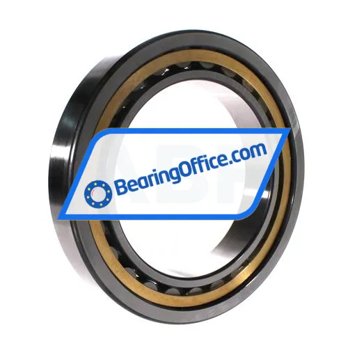 FAG NU1032-XL-M1-C3 bearing image 2