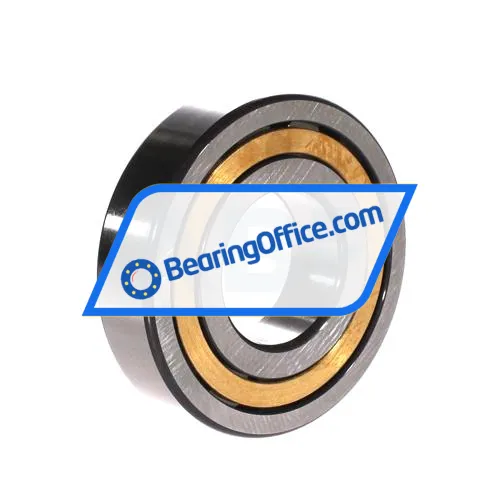 FAG NUP309-E-XL-M1 bearing image 2