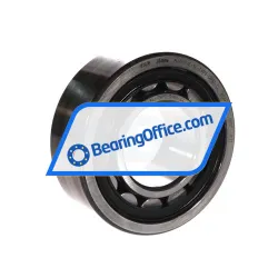 FAG NJ2311-E-XL-MPAX-QP51-C4