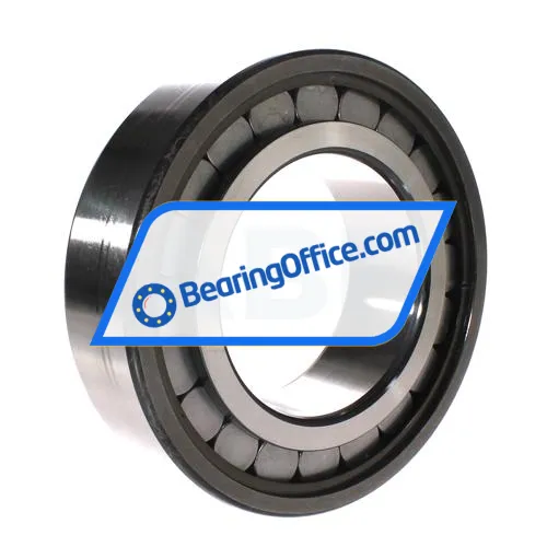 INA SL182224-A bearing image 2