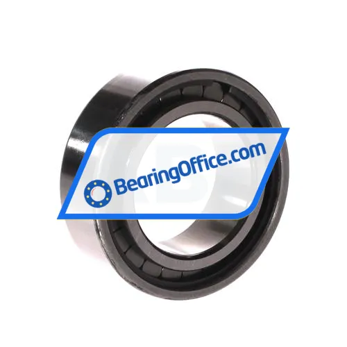 INA SL183009-A-XL bearing image 2
