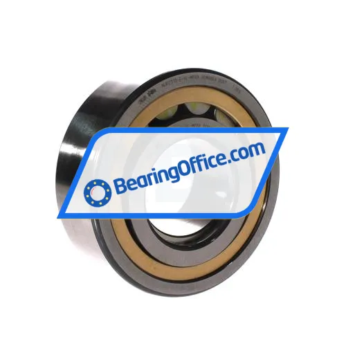 FAG NUP2313-E-XL-MPAX