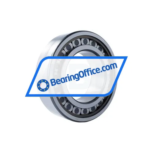 INA SL182228-TB-C3 bearing image 2