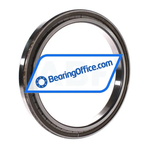 INA SL181838-A bearing image 2