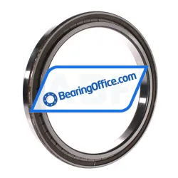 INA SL181838-A rulman resim 2