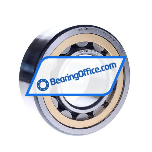 FAG NJ2313-E-XL-MPA-C4