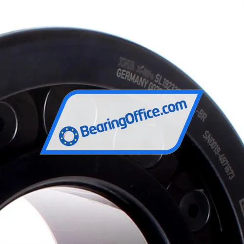 INA SL192320-TB-XL-BR bearing image 2