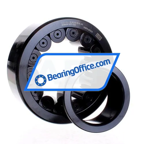 INA SL192320-TB-XL-BR bearing image 3