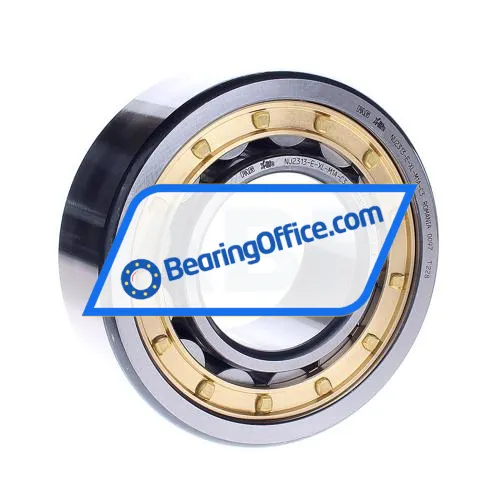 FAG NU2313-E-XL-M1A-C3