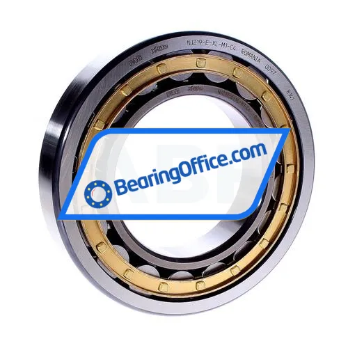 FAG NJ219-E-XL-M1-C4