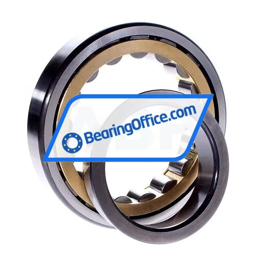FAG NJ219-E-XL-M1-C4 bearing image 2