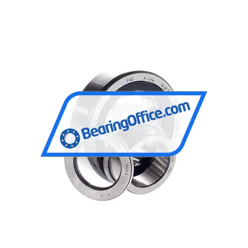 FAG NUP305E-TVP2-C3 bearing image 2