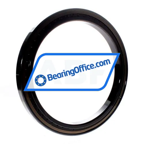 INA SL181848-E-BR bearing image 2