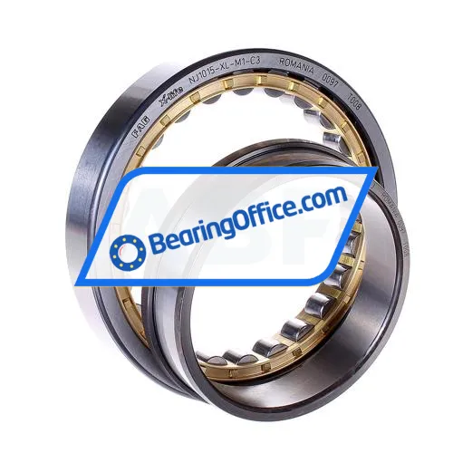 FAG NJ1015-XL-M1-C3 bearing image 2