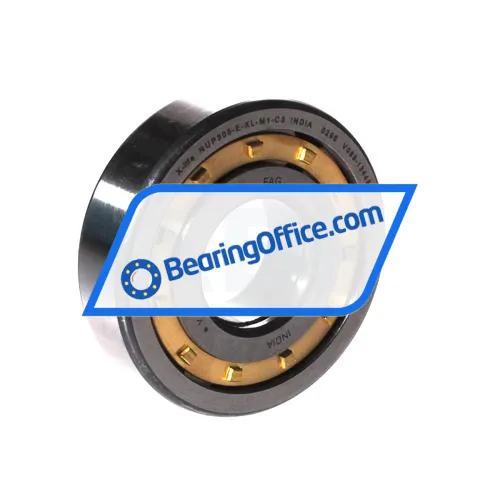 FAG NUP305-E-XL-M1-C3