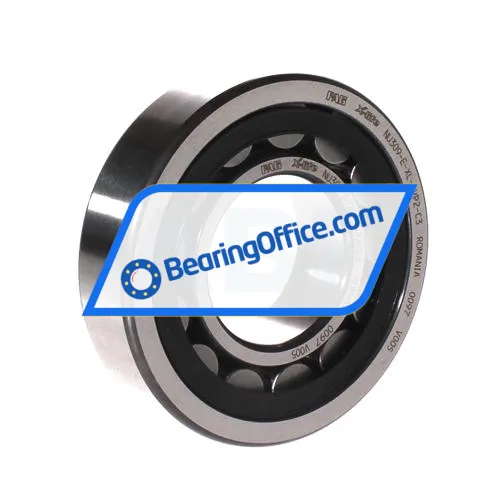 FAG NU309-E-XL-TVP2-C3