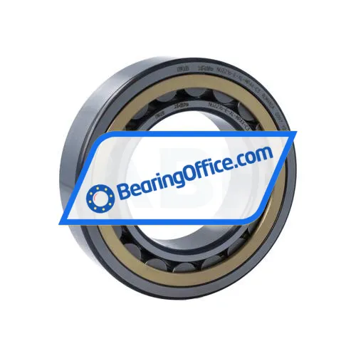 FAG NU2216-E-XL-MPAX-C3