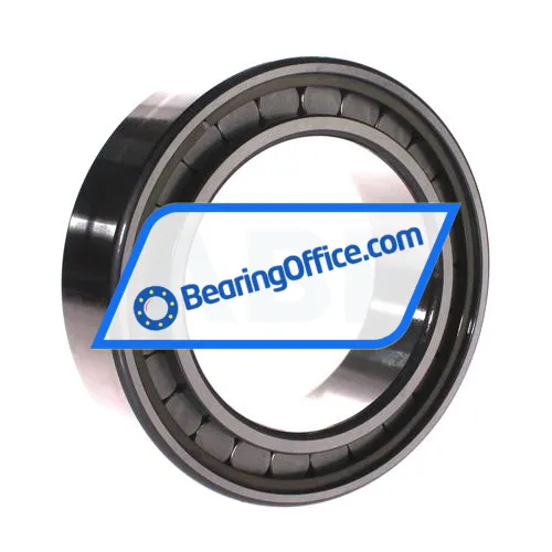 INA SL183022-A-C3 bearing image 2