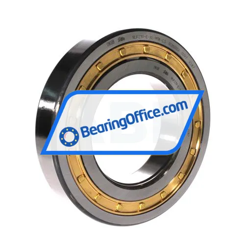 FAG NUP219-E-XL-M1A-C3