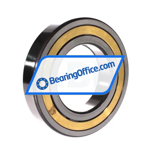 FAG NUP219-E-XL-M1A-C3 bearing image 2