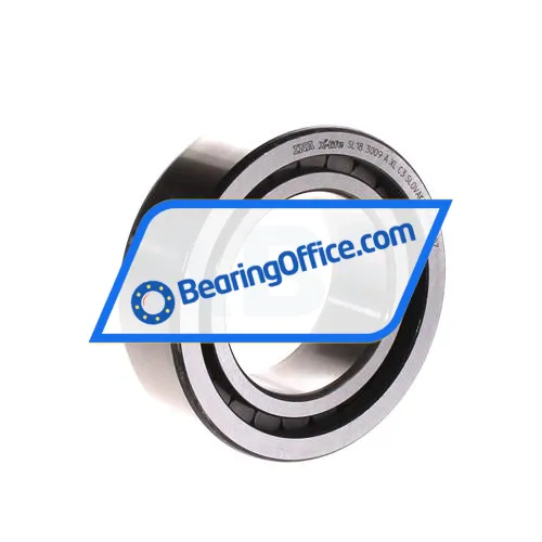 INA SL183009-A-XL-C3