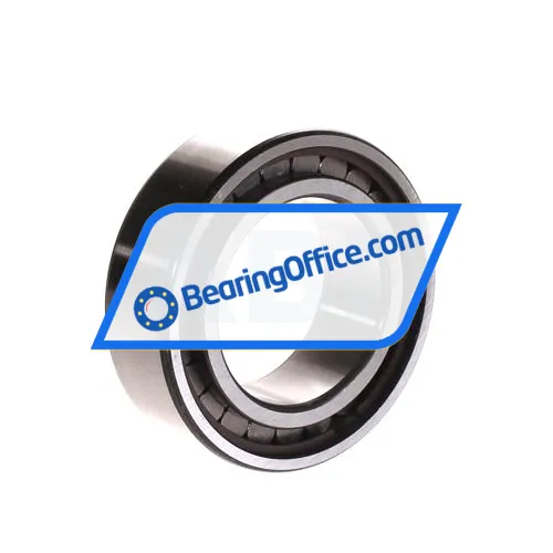 INA SL183009-A-XL-C3 bearing image 2