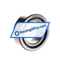 INA SL183009-A-XL-C3