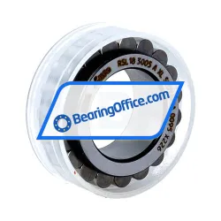 INA RSL183005-A-XL-2S