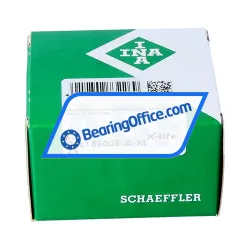 INA RSL183005-A-XL-2S rulman resim 3