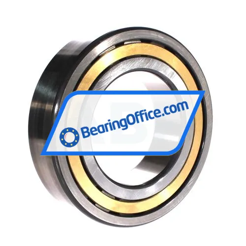 FAG NJ2219-E-XL-M1-C3 bearing image 2