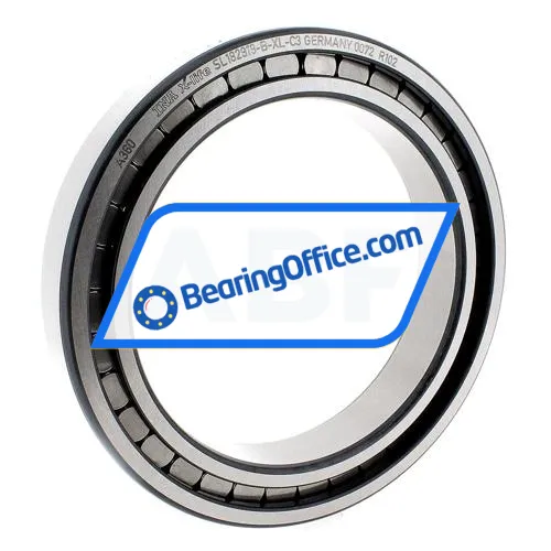 INA SL182919-B-XL-C3