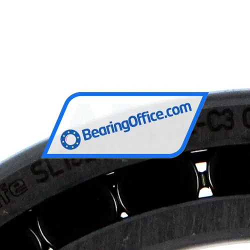 INA SL182919-B-XL-C3 bearing image 3