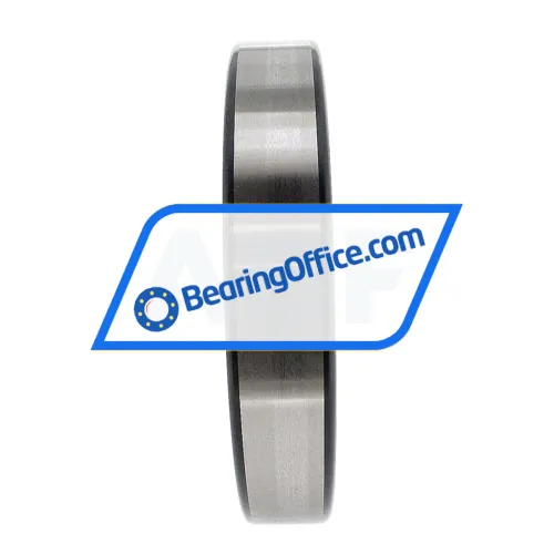 INA SL182919-B-XL-C3 bearing image 4