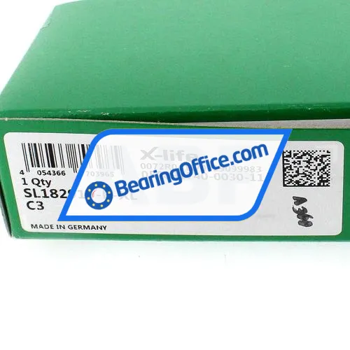 INA SL182919-B-XL-C3 bearing image 6
