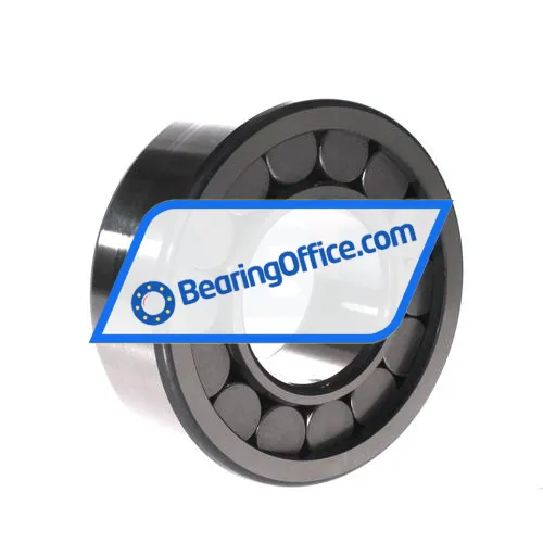 INA SL192313 bearing image 2