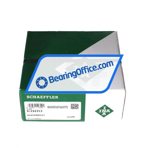 INA SL192313 bearing image 3