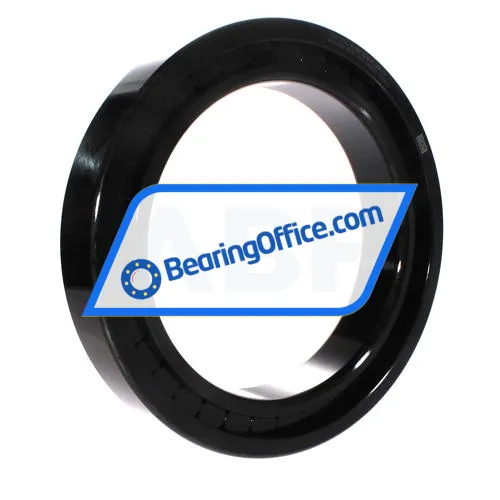 INA SL182936-B-XL-C3