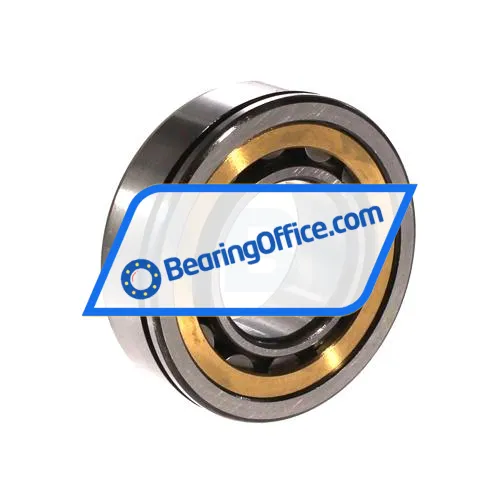 FAG NU205-E-N-MPA-F59-C3 bearing image 2