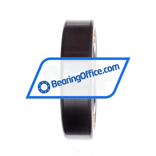 FAG NU313-E-XL-M1 bearing image 4